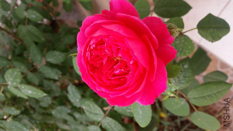 20160416_172224.jpg