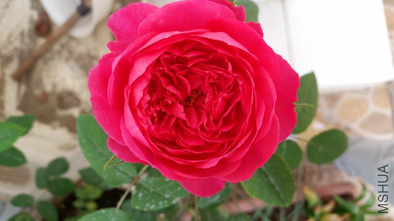 20160416_172250.jpg