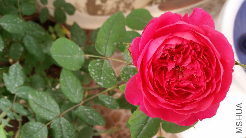 20160416_172256.jpg