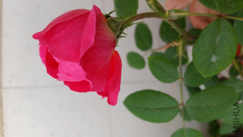 20160416_172332.jpg