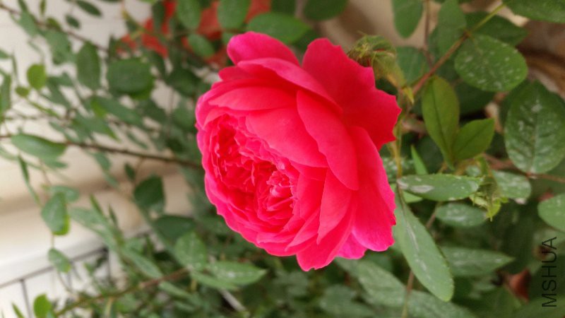 20160416_172630.jpg