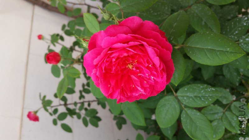 20160416_172644.jpg