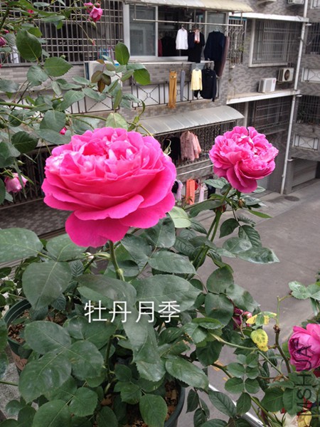 IMG_1997.JPG