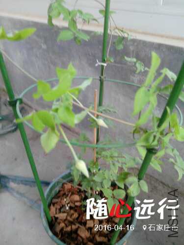 IMG_20160416_183138.jpg