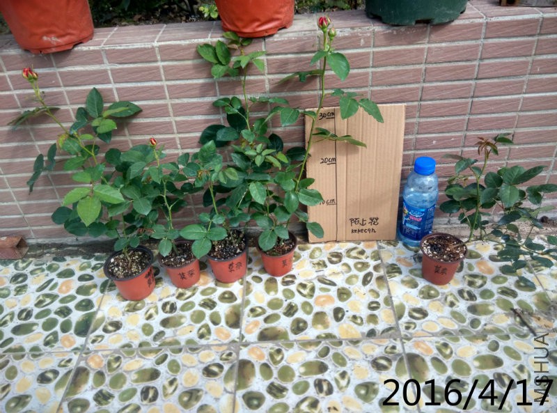 IMG_20160416_160038_HDR.jpg