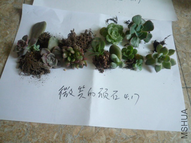 P1100002.JPG