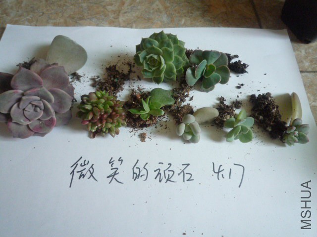 P1100003.JPG