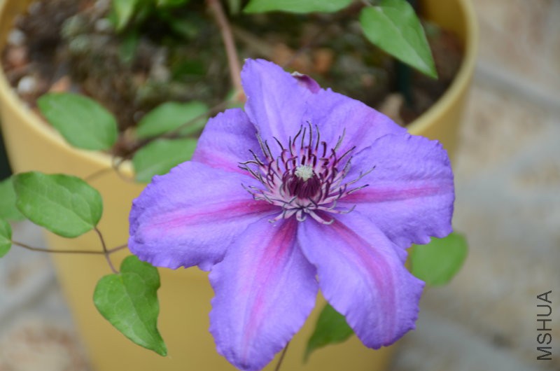 DSC_3511.JPG