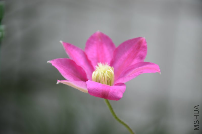 DSC_3708.JPG
