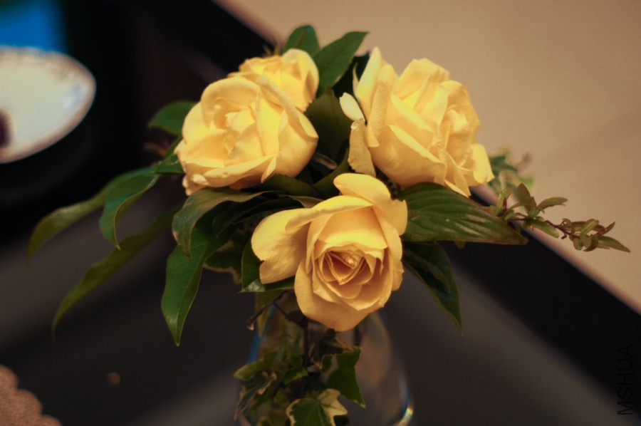 DSC06432.jpg
