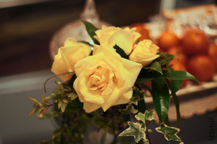 DSC06435.jpg
