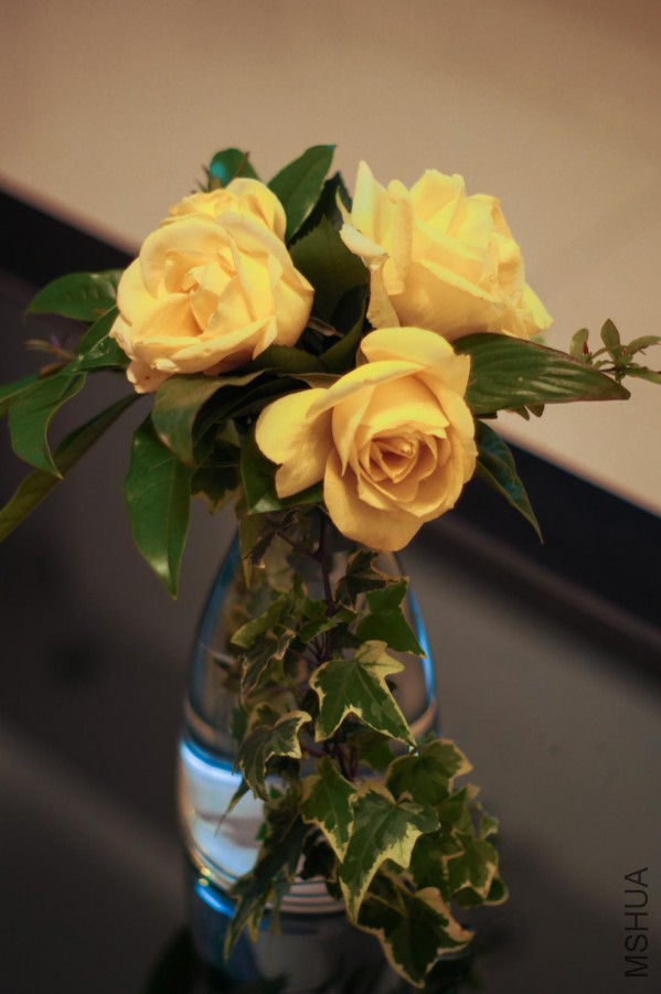 DSC06434.jpg