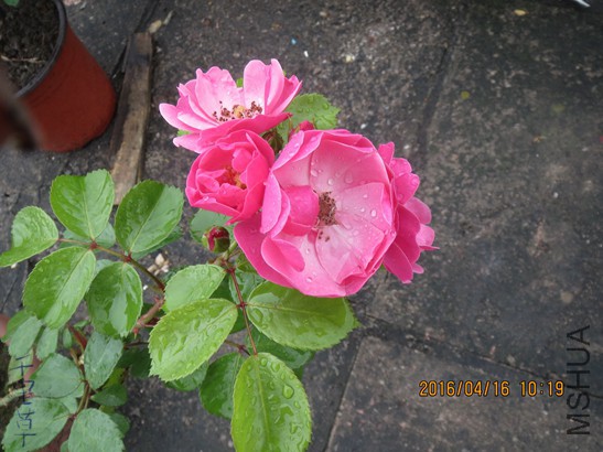 ������2016-04-1634.jpg