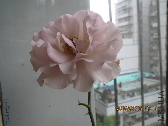 ���˳�2016-04-1630.jpg
