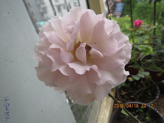 ���˳�2016-04-1629.jpg