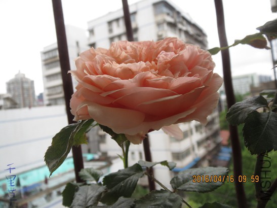 ����2016-04-1622.jpg