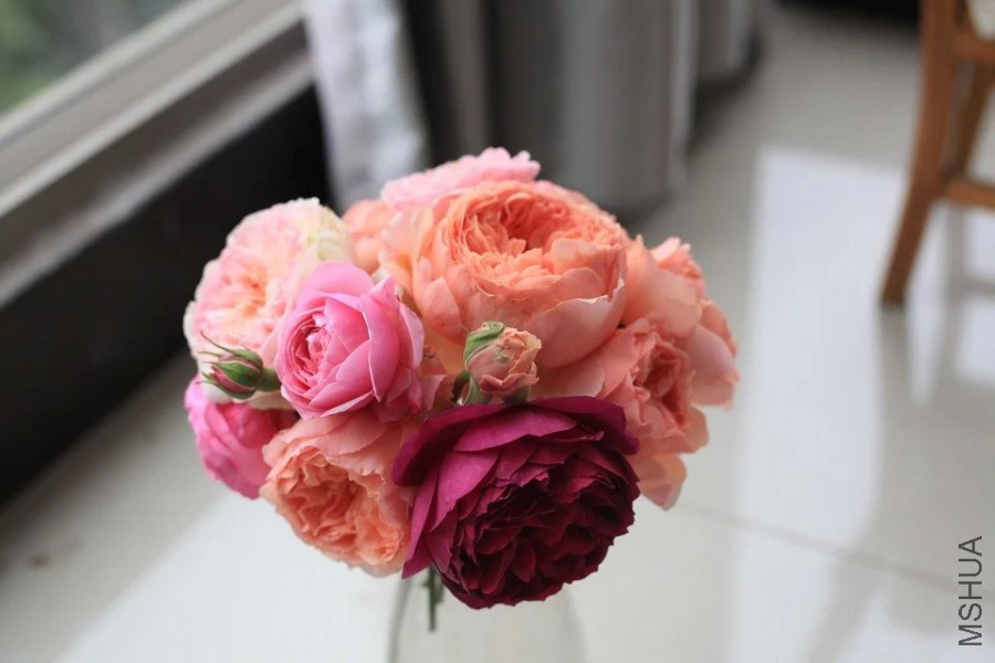 psb (19).jpg
