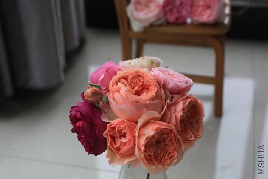 psb (20).jpg