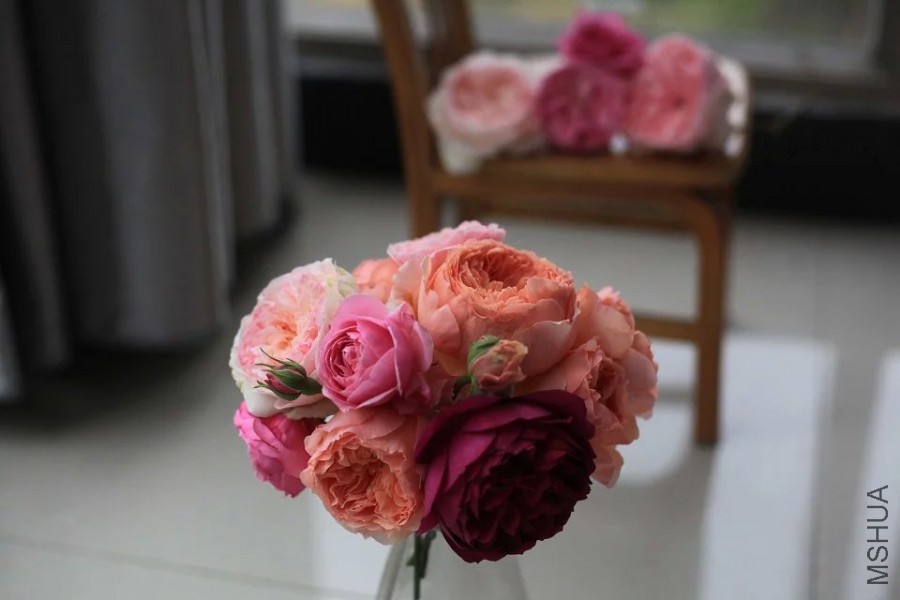 psb (21).jpg