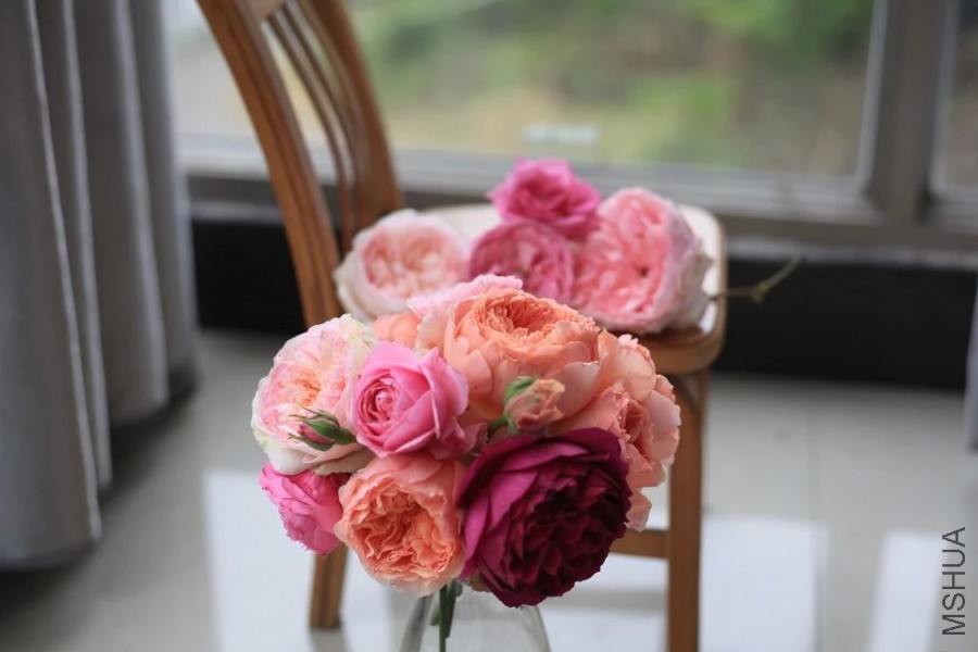 psb (23).jpg