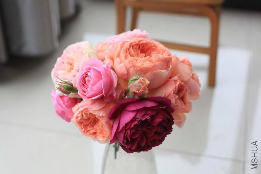 psb (24).jpg