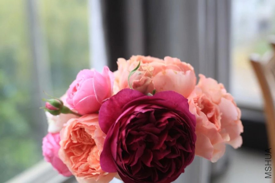 psb (25).jpg