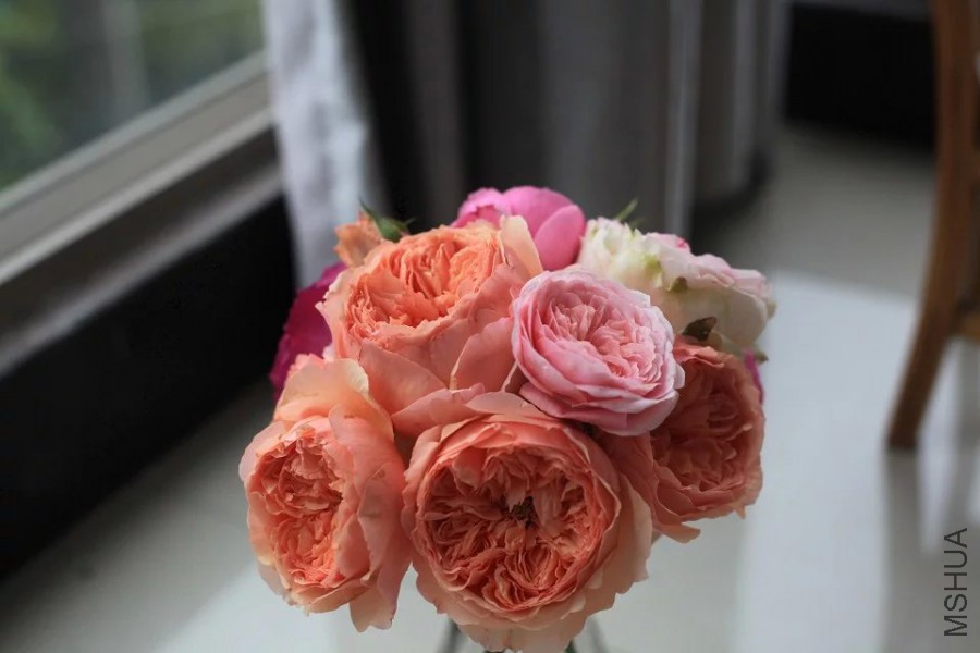 psb (26).jpg