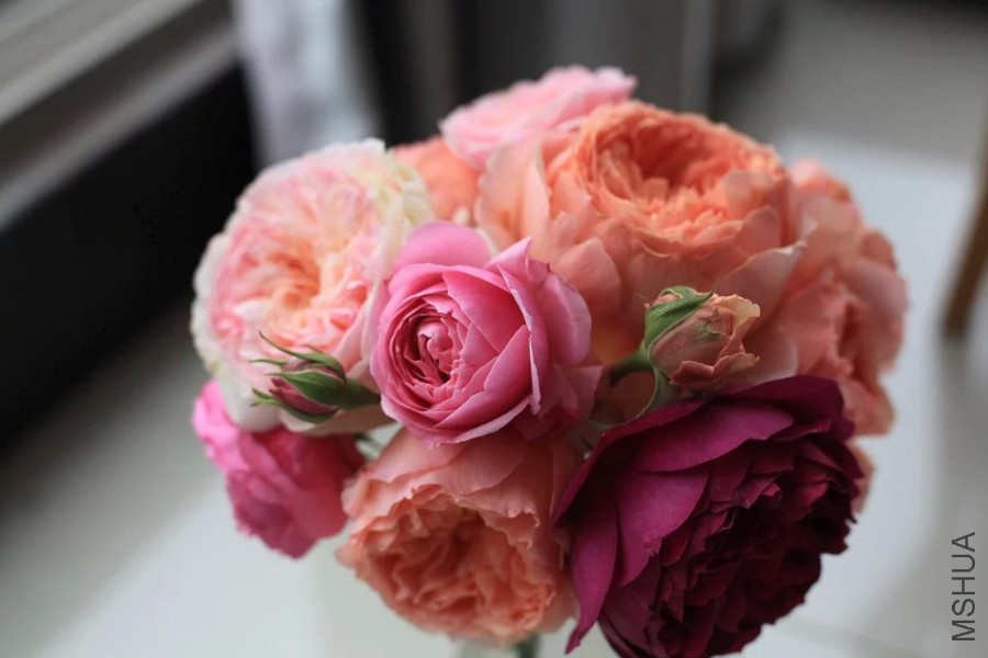 psb (27).jpg