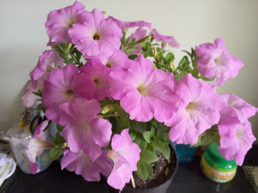 QQͼƬ20160405151233.jpg