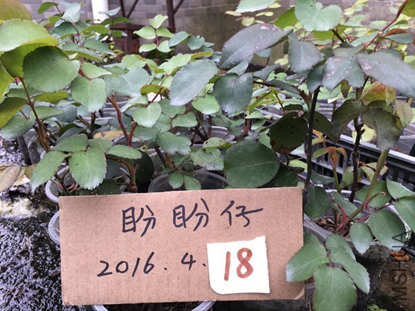 QQͼƬ20160418121516.jpg