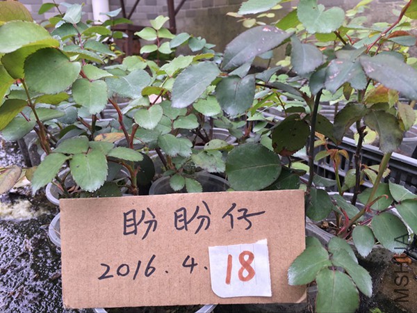 QQͼƬ20160418121535.jpg