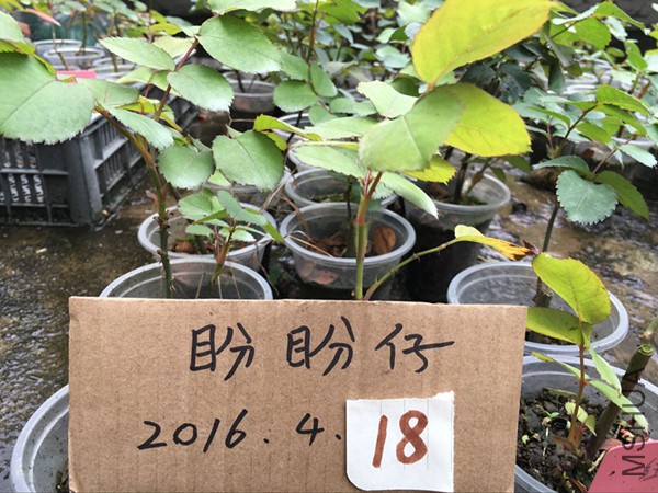 QQͼƬ20160418121544.jpg