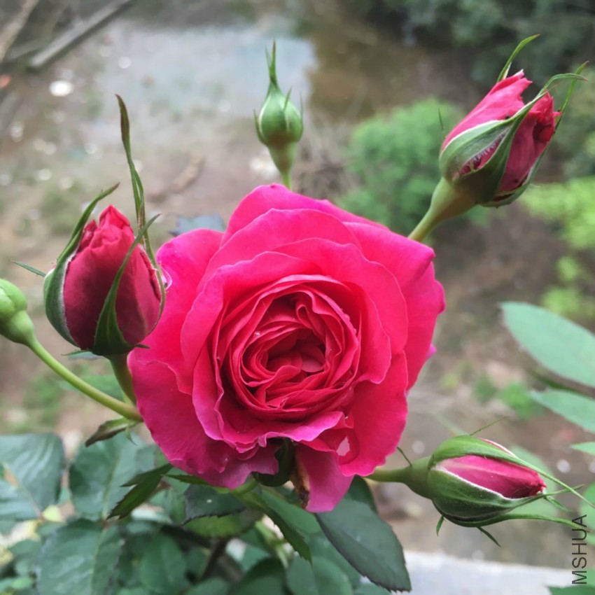 QQͼƬ20160418151402.jpg
