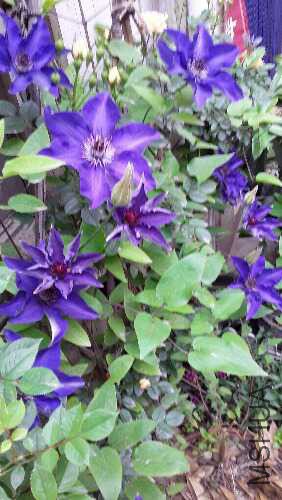 20160417_075920.jpg