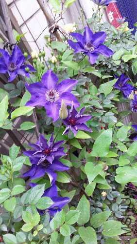 20160417_075945.jpg