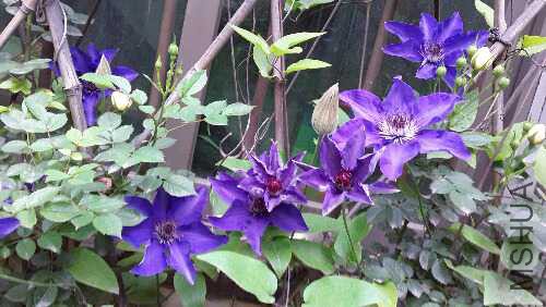 20160417_080020.jpg