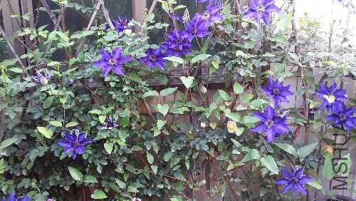 20160418_154844.jpg