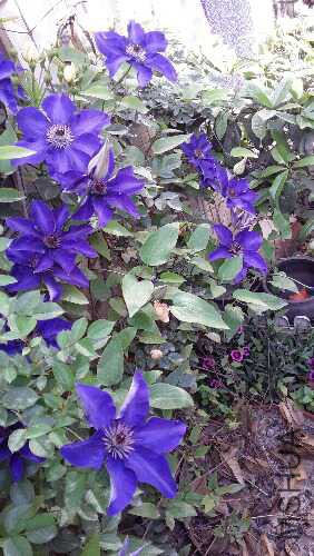 20160418_154906.jpg