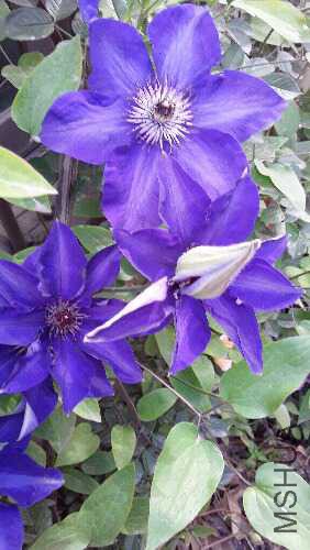 20160418_154917.jpg