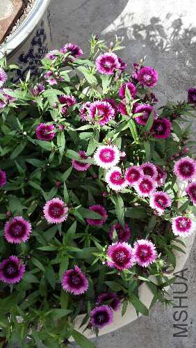 20160418_154825.jpg