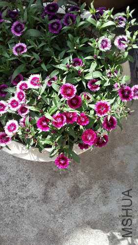 20160418_154821.jpg