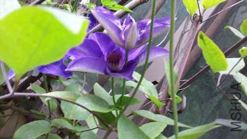 20160417_075909.jpg