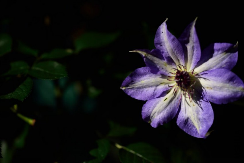 dsc_0146.jpg