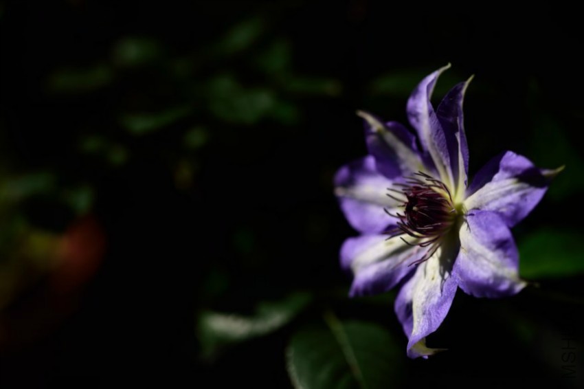 dsc_0147.jpg