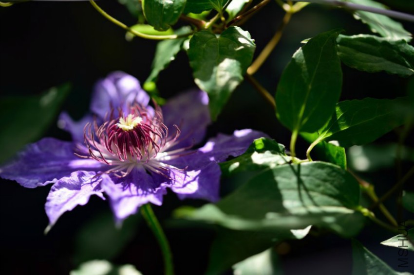 dsc_0057_00055.jpg