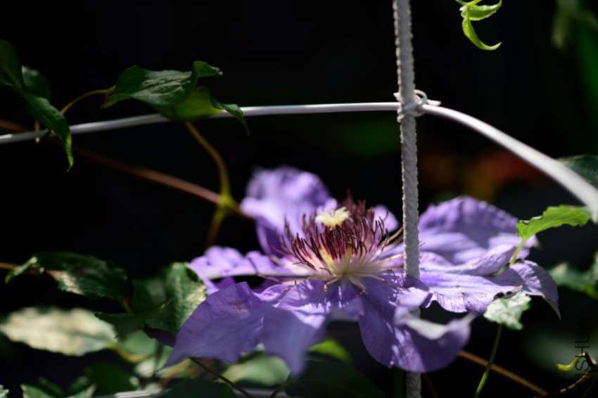 dsc_0058_00056.jpg