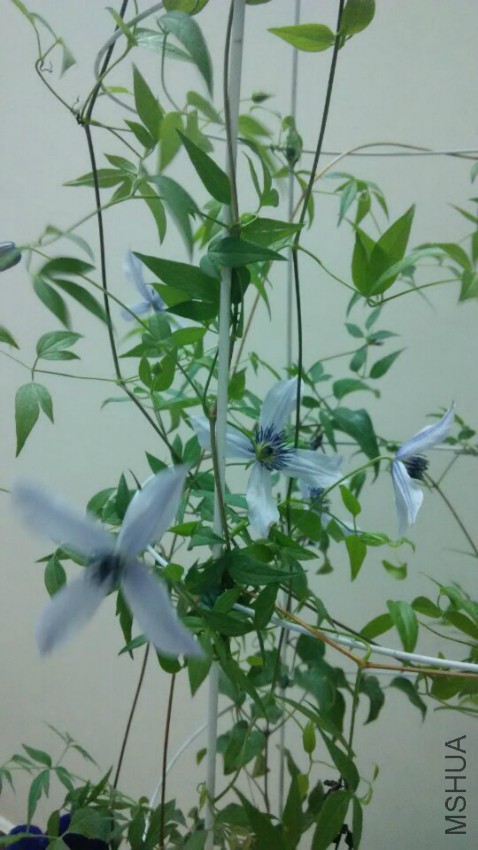 QQͼƬ20160419112202.jpg