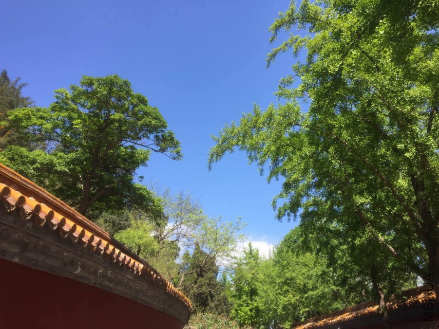 ��ǽ������������