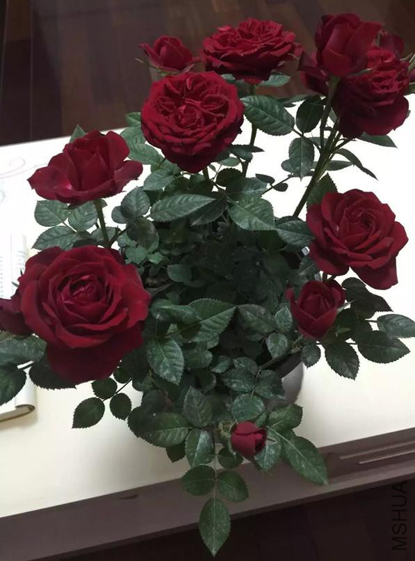 QQ�������ͼ_20160419143743_9EE7E5D2876E45e2B517A18A191EE38A.jpg