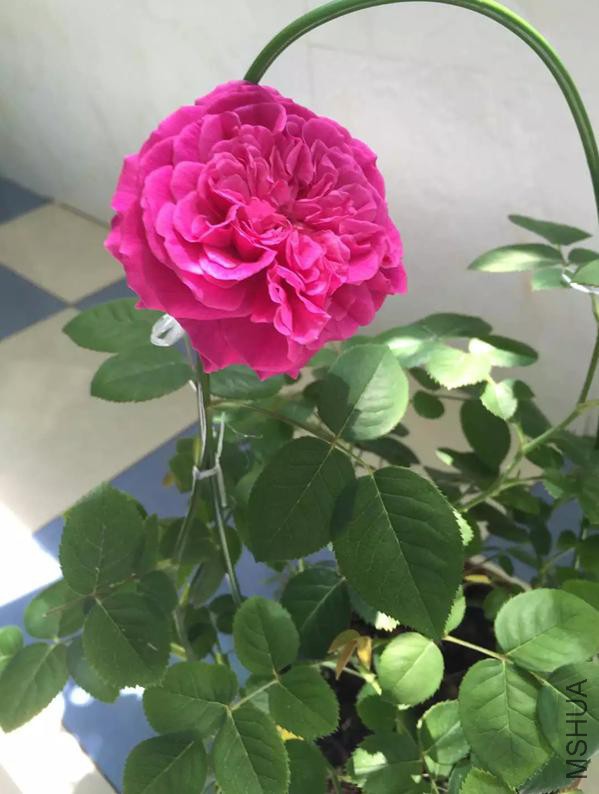 QQ�������ͼ_20160419143701_989CF3428532448d81F384C12DCE0260.jpg